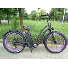 2016 Beach Cruiser Type Fat Tire Electric Bicycle 36V 250W/350W/500W for European Regulation Approved En15194